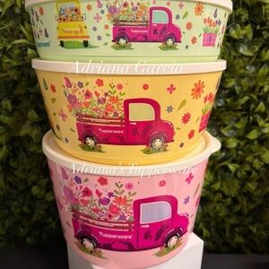 Tupperware Floral Truck Party Bowl Set - Pink, Yellow, Green